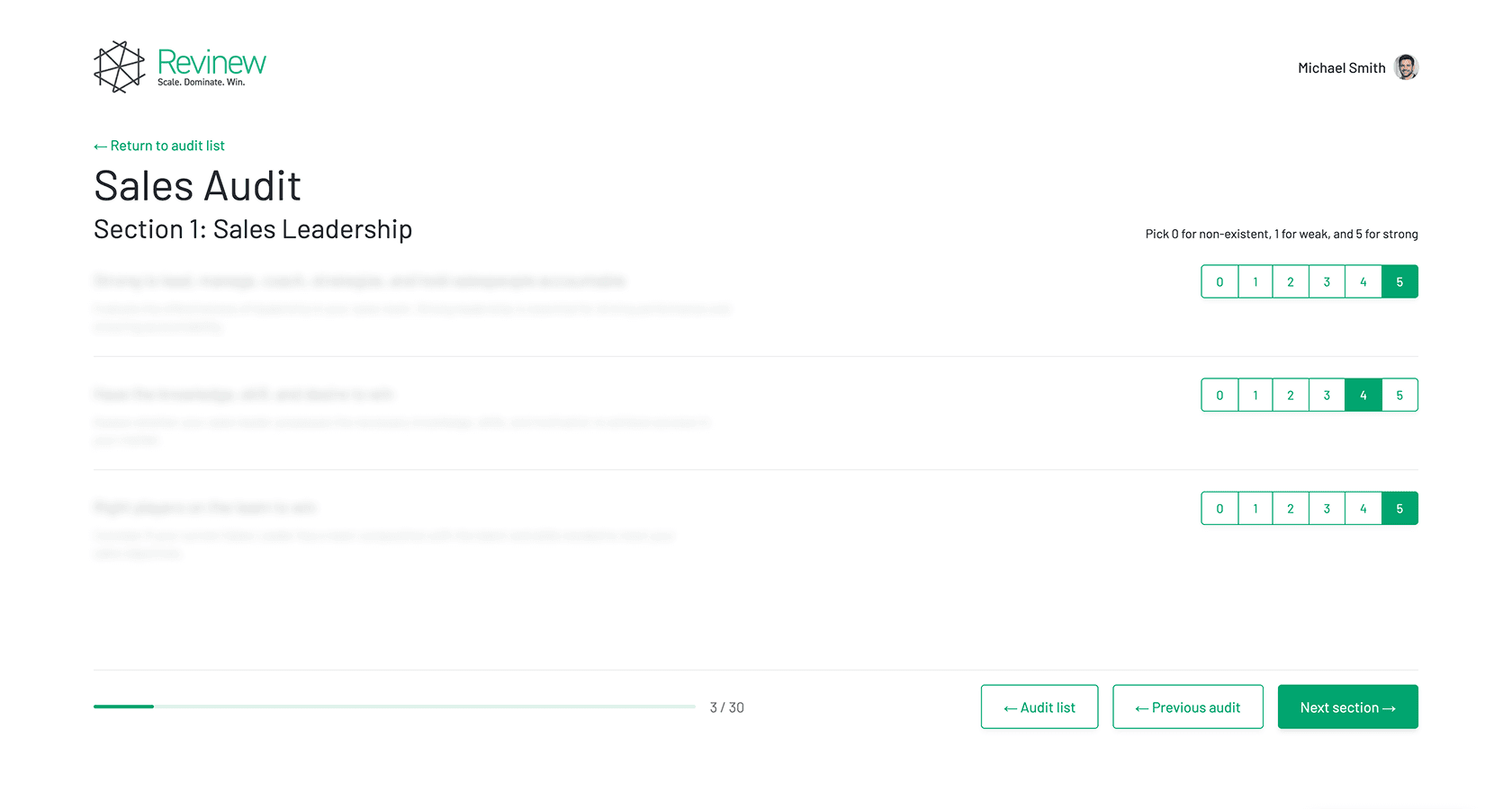 Revinew Sales Audit questionnaire assessing sales strategies and processes to improve revenue generation and team performance