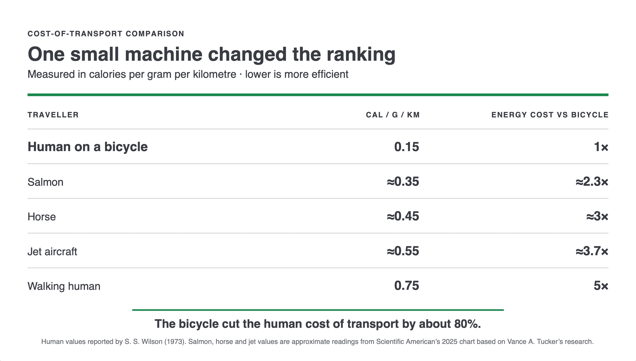 A human on a bicycle uses 0.15 calories per gram per kilometre, compared with approximately 0.35 for a salmon, 0.45 for a horse, 0.55 for a jet aircraft and 0.75 for a walking human.